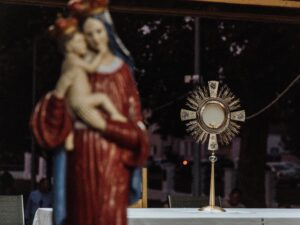 Read more about the article Devetnica Velikoj Gospi posrednici milosti