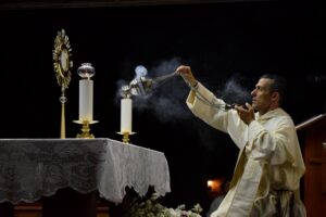 Read more about the article Trodnevnica Velikoj Gospi posrednici milosti 